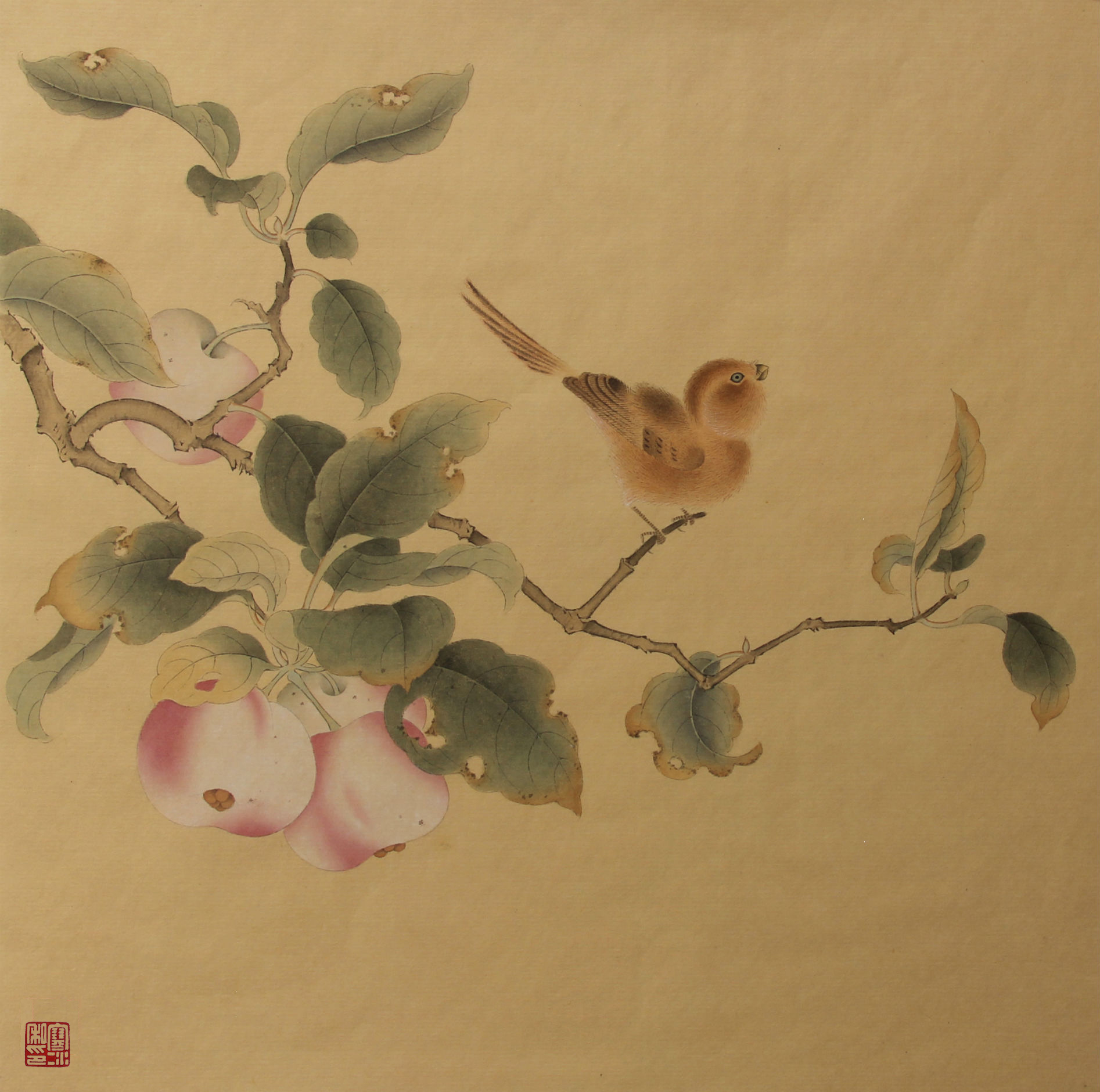 临果熟来禽图 2014 26×26cm副本